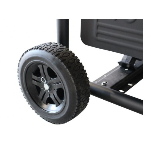 Бензиновий генератор MAST GROUP RD6500E