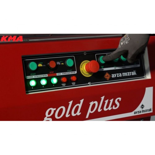 Форматно-розкрійний верстат Ayza Mizrak Gold Plus 3800 Tiptronic