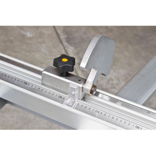 Форматно-розкрійний верстат Holzmann FKS 315VFN-3200