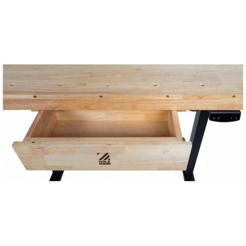 Столярний верстак з електричним регулюванням Holzmann WB150ELIFT_230V