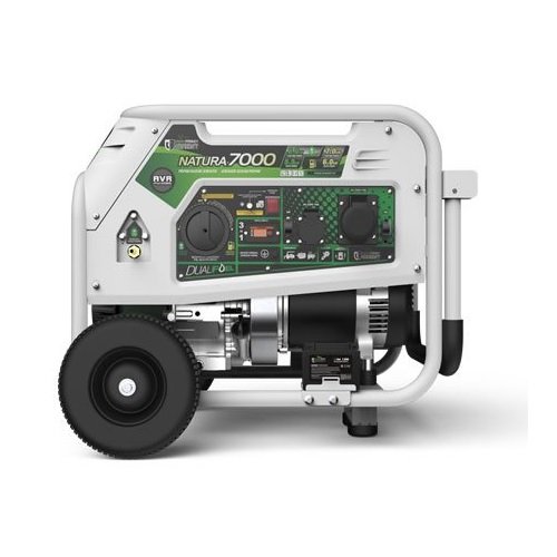 Генератор бензин - газ GENERGY NATURA 7000 7/6 кВт(240027090)