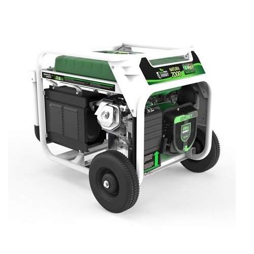 Генератор бензин - газ GENERGY NATURA 7000 7/6 кВт(240027090)
