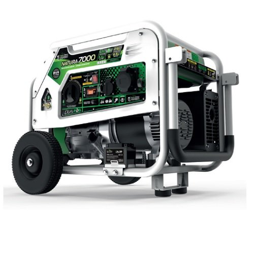 Генератор бензин - газ GENERGY NATURA 7000 7/6 кВт(240027090)