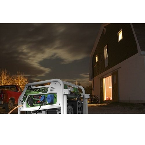 Генератор бензин - газ GENERGY NATURA 7000 7/6 кВт(240027090)