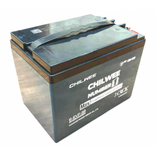 Гелевий тяговий акумулятор CHILWEE 6-EVF-58.2 - 58A/H